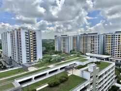 Blk 329A Anchorvale Harvest (Sengkang), HDB 4 Rooms #547342681